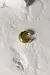 Imagem do Piercing Luna P