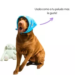Bandana Guapetones Talle M