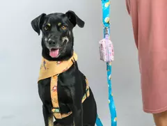 Porta Bolsitas GuapeBag - Huella Tienda de Mascotas