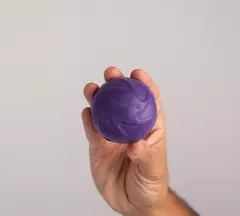 Pelota Glotoni Soft - Tonipets en internet