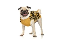 Sweater Aspen - B&P - Huella Tienda de Mascotas