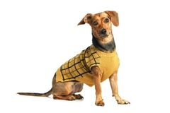 Sweater Boston - B&P