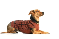 Sweater Boston - B&P en internet