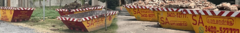 Banner de la categoría SERVICIO DE VOLQUETES