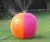 Imagem do Bola Com Esguicho Para Piscina Pátio Ultra Diversão