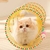 TUNEL PARA GATOS