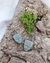 AROS ZENI - buy online