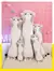 Soft Long Cat Travesseiro Namorado, Brinquedos De Pelúcia, Pausa Recheada, Almo - loja online
