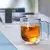 Caneca de vidro de borosilicato alto, resistente ao calor, 150-350ml, parede dup - Kallex shop
