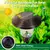 Aço inoxidável ao ar livre Solar Pathway Lights, Luzes do jardim, Auto On Off - Kallex shop