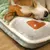 Cama específica e lavável, adequada para cães pequenos e gatos, colchão gros - Kallex shop