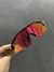 Radar EV black (lente em ruby)