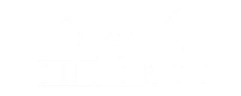 Vitinho Imports 