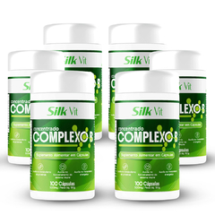 Silk Vit Complexo B – Super Tratamento com 600 Cápsulas para Energia, Imunidade e Cabelos Fortes - comprar online