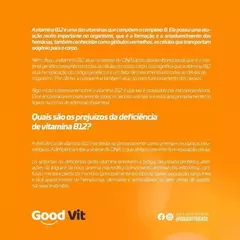 Vitamina B12 CONCENTRADA METILCOBALAMINA C60 Cápsulas Good Vit - loja online