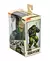 TMNT Raphael (Return To New York) Neca Mirage comics - miradageekstore