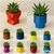 Pack X5 Macetas 6x6x6 Cm Suculentas Elegí Modelo Y Colores - comprar online