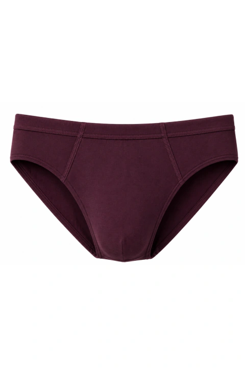 Imagem do CUECA TRADICIONAL EMBUTIDA