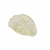 Office Zinnia Porta Papel P Cristal com Ouro - comprar online