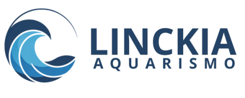 Linckia Aquarismo