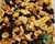 MIX FRUTOS SECOS CLASICO X 500 GR