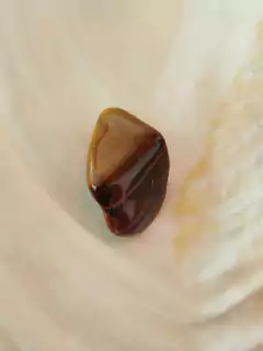 Cristal natural "Ojo de Tigre" en internet