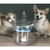 Bebedero de mascota c/sensor OM - comprar online