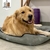 Imagem do Cama Pet Cachorro Gato Grande Quadrada Suede Com Ziper