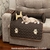 Protetor de Sofá Pet Snoopy Grande - comprar online