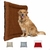 Colchonete Pet Gorgopet Impermeavel Médio na internet