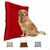 Colchonete Pet Impermeavel Grande 100cm x 80cmcom Ziper