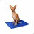 Tapete Colchonete Gelado Pet Pequeno 40x30cm Cama Cachorro