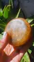 Jabon Corporal Vegano con Luffa en internet
