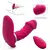 Vibrador de Clitoris y Punto G con control remoto