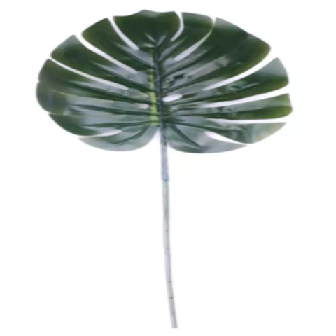 FOLHAGEM COSTELA DE ADÃO 28X33CM - 01 UNIDADE