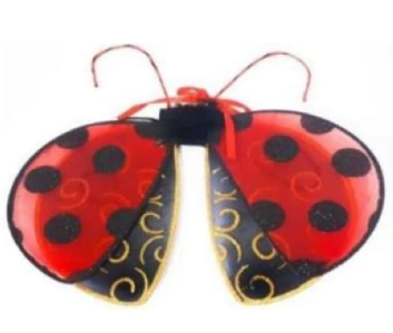 ASA JOANINHA - 01 UNIDADE