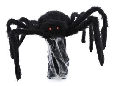 ARANHA SALTADORA - 01 UNIDADE