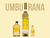 Miniatura Cachaça Premium 1516 Ouro envelhecida em Umburana 50ml 40%Vol. Produto Nacional - comprar online