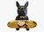 Estatueta Buldogue francês com Bandejas dourada Porta Objetos.