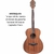 Violão BENSON Aço Elétrico Sólido Grand Auditorium EXF500E MAH Mahogany - comprar online