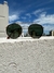 Round Double bridge - Dorado/Verde