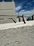 Round Double bridge - Dorado/Verde - Brickell Imports