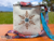 Bolsa transversal de couro legítimo com detalhe em pelo e estampa de floco de neve, alça colorida e franjas.