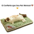 Cama SoftPaws Verde - comprar online