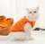 Roupinha de Lã para Gatos HotCats