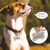 Placa de Identificação Para Pets Kit com 2 na internet