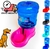 Bebedouro Galão para Pets + Guia Pratico - comprar online