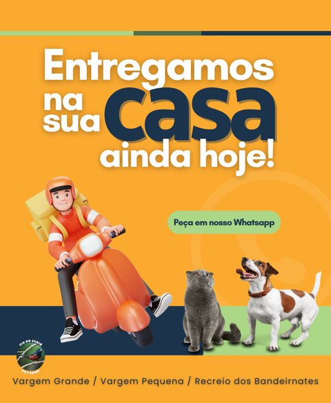 Carrossel 1