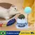 Bola de erva-de-gato da sorte lambendo brinquedo de gato, aliviando o tédio - ClickBazaar