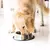 Comedouro Pet Bebedouro 150ml Bowl em Aço inox Pote Dog 15cm